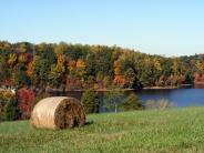 Picture of Lake Holt with hay