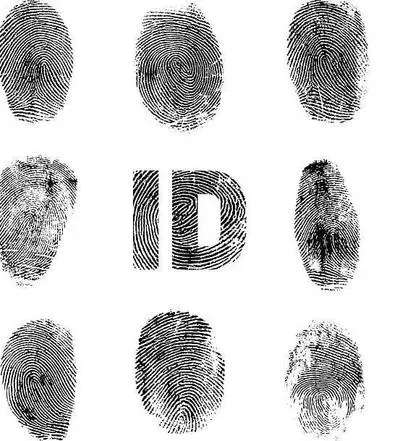 Fingerprint examples