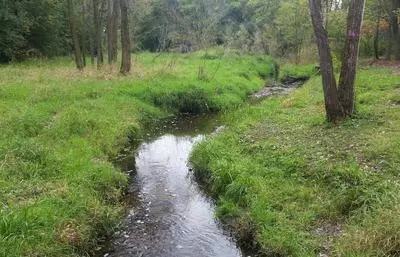 Plymouth Creek