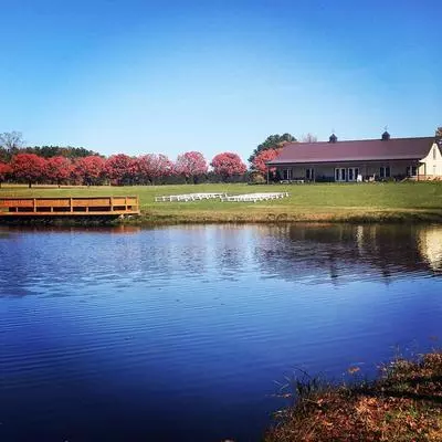 View at Vino Oasi