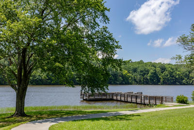 Overlooking Water 