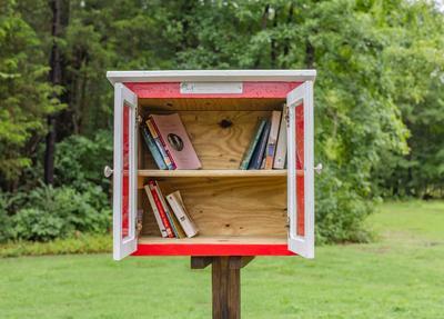 Little Free Library